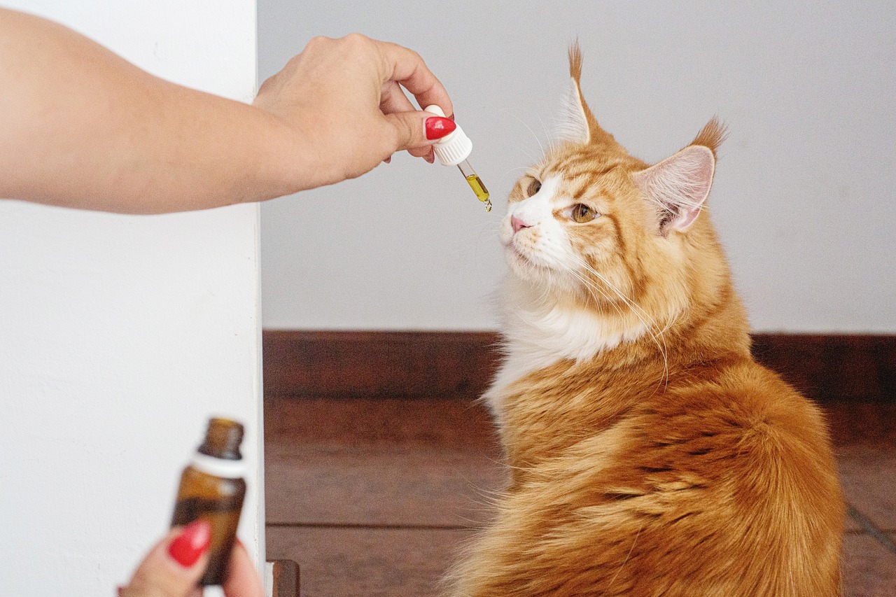 How to Create a DIY Scented Drawer Liners